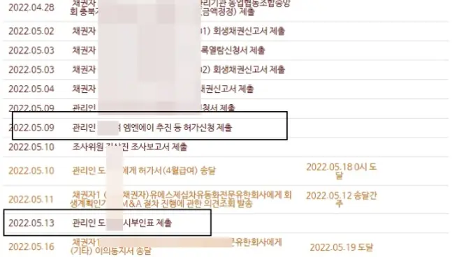 개시 결정 후 인가 결정까지  최소 6개월 이상