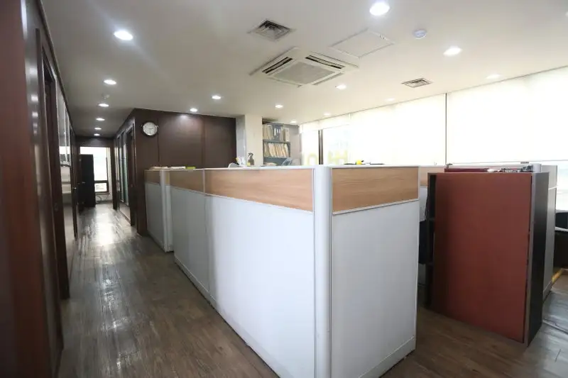 A회사의 파산 배경, 도산 위기의 원인