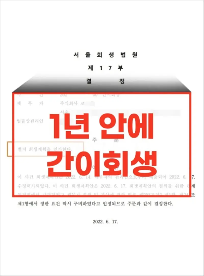부채 50억 미만 기업에게 최적화된 간이회생 제도